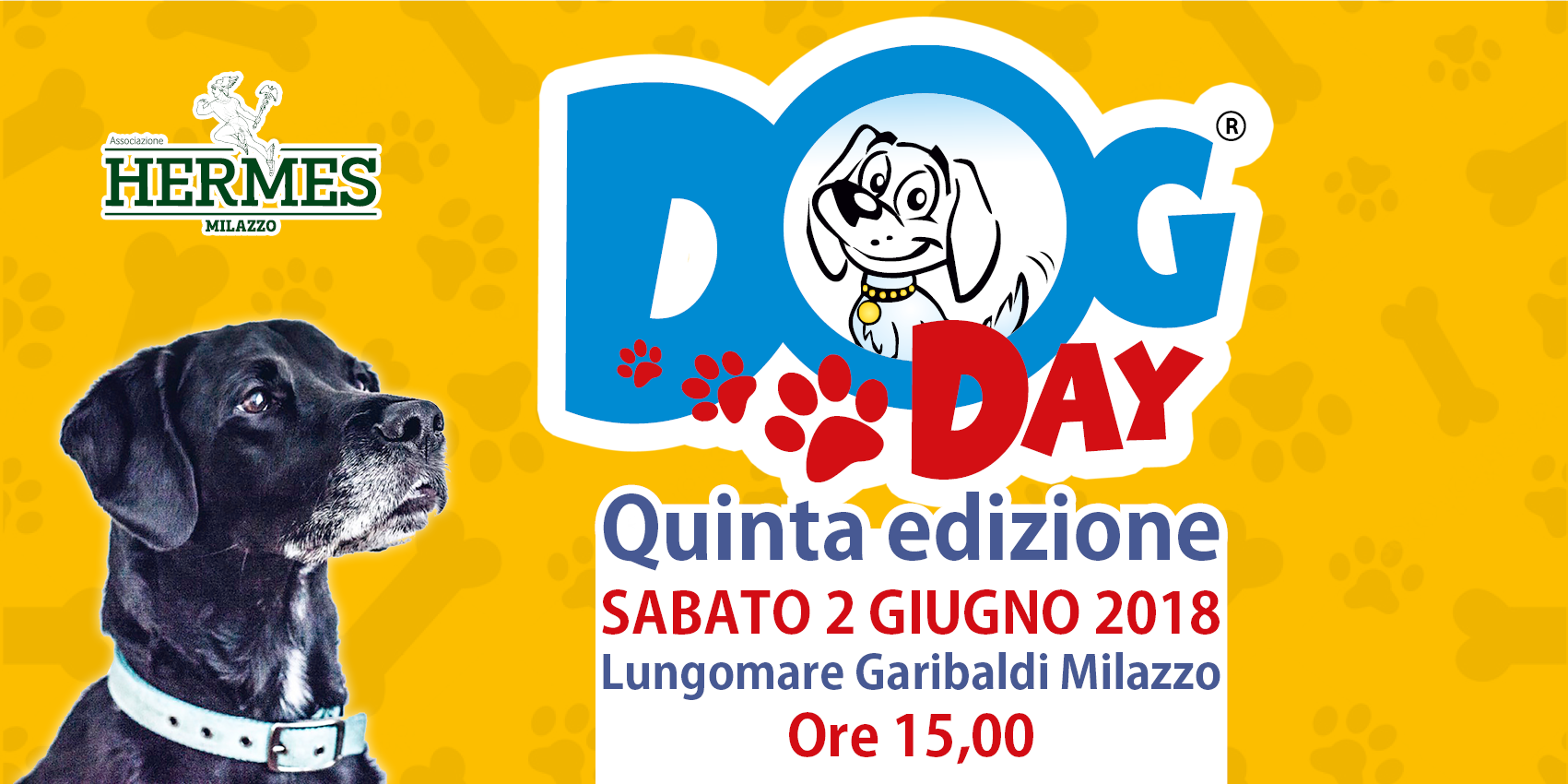 DOG DAY 2018