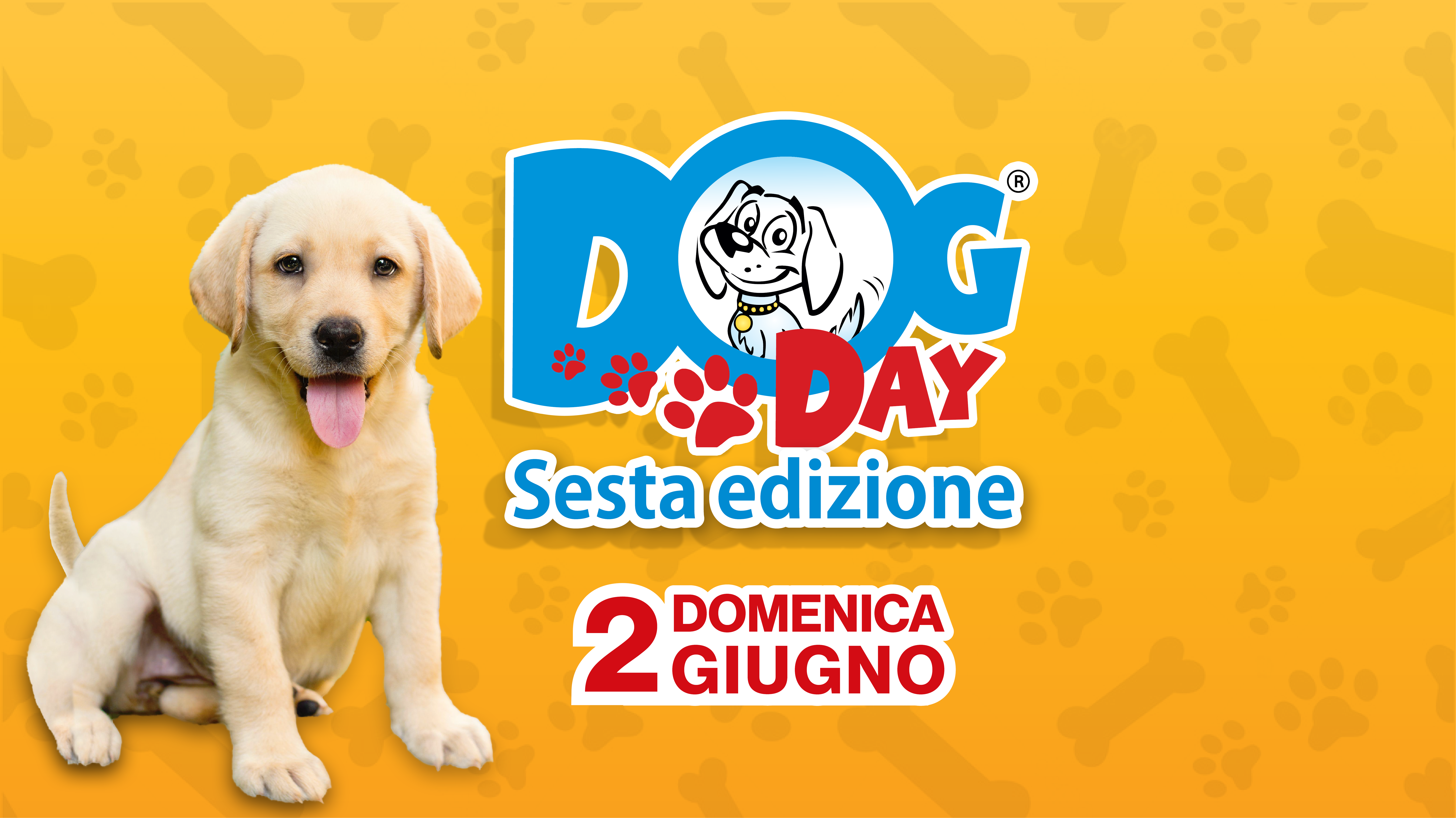 DOG DAY 2019