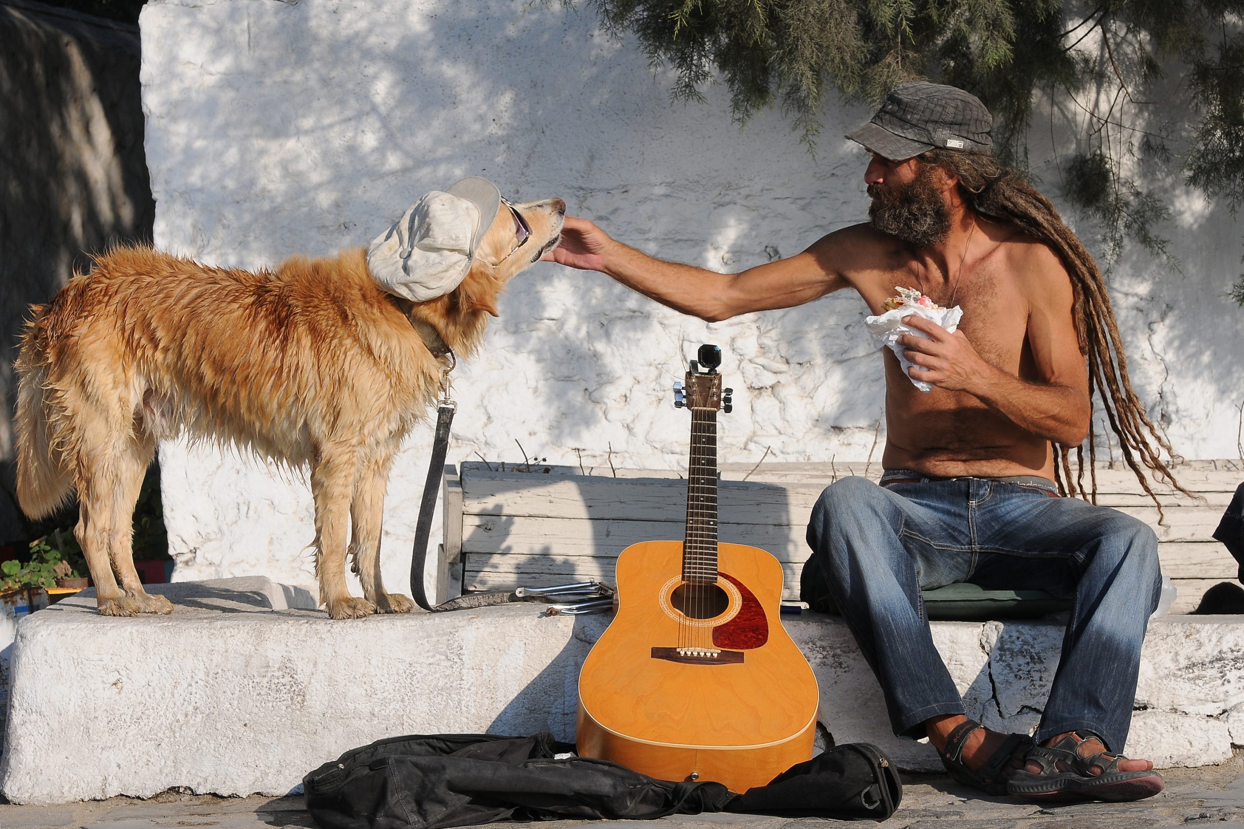 uomo rasta con cane e chitarra