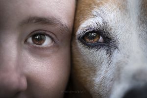 occhio cane e occhio umano