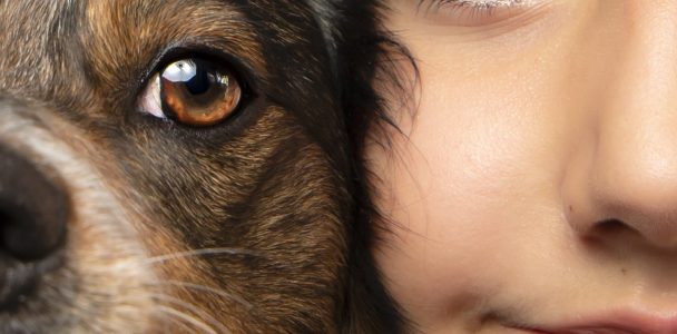 Musi in posa 2023: il concorso fotografico canino alla quarta edizione